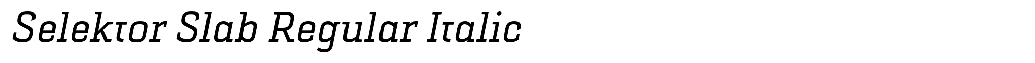 Selektor Slab Regular Italic image